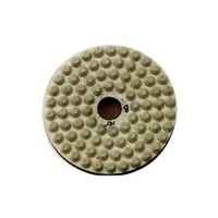 Polishing pad (pimples), 160 №8