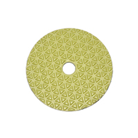 Flexible polishing pad `5 steps` 100