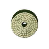 Flexible polishing pad 100